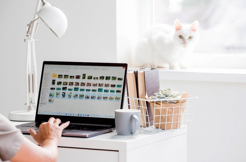 От буллинга до плагиата: как печать нотариуса помогает выиграть суд